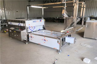 攜手增益食品機械廠，探索槽子糕生產機械的革新與搬運解決方案