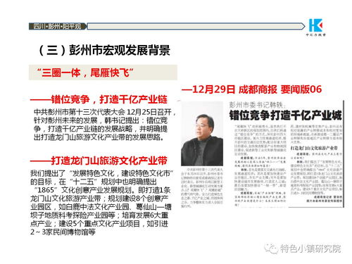 中國道源旅游度假小鎮項目策劃方案